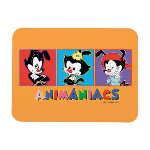 Íman Animaniacs Gráfico do painel Yakko, Dot e Wakko