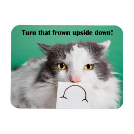 Íman Anime-Se Encorajando Gato Engraçado Com Sapo