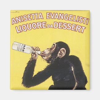 Íman Anisetta Evangelisti