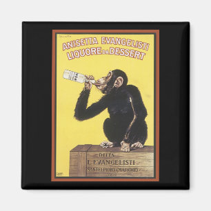 Íman Anisetta Evangelisti Vintage Líquido E Magnet
