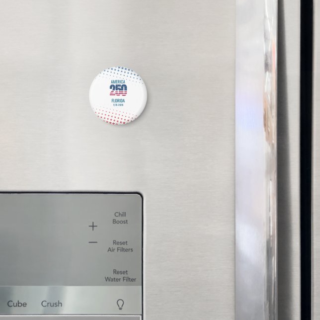 Íman Aniversário de 250 anos dos EUA na Flórida (In Situ (Fridge))