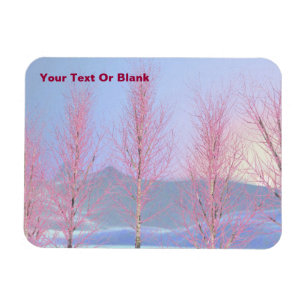 Íman Aniversário do Creme de framboesa