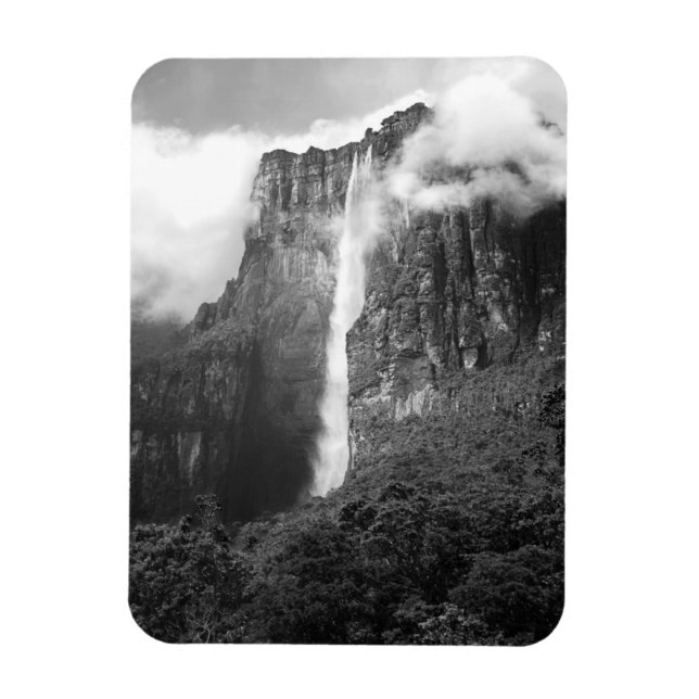 Íman Anjo cai em preto e branco (Vertical)