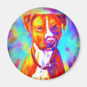 Íman Anjo Funky - Pitbull