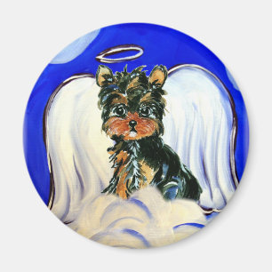 Íman Anjo Yorkie Poo