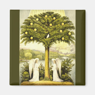 Íman anjos por cima do ímã