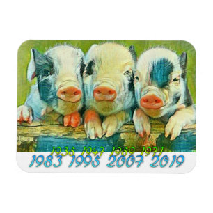 Íman Ano Chinês do Porco