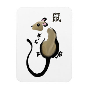 Íman Ano do ímã do rato