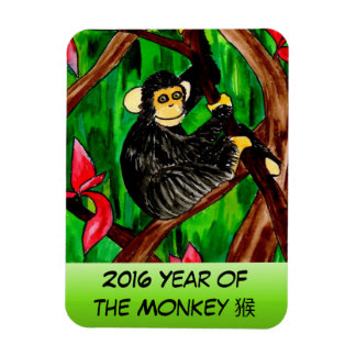 Íman Ano do ímã macaco