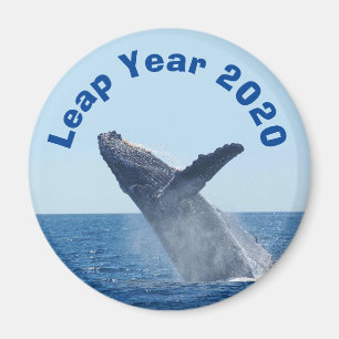 Íman Ano do Salto 2020