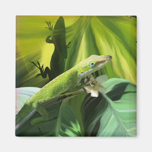 Íman Anole Lizard