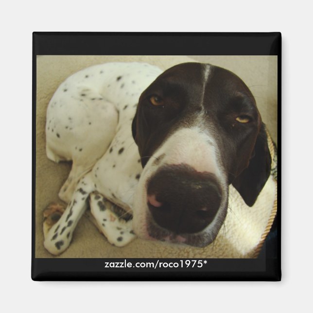 Íman Anos Cães (Frente)