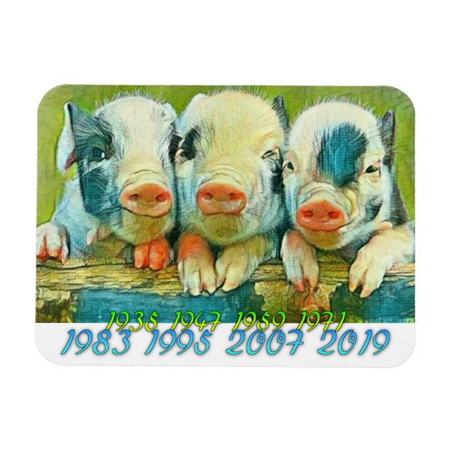 Íman Anos Chineses do Porco (Horizontal)