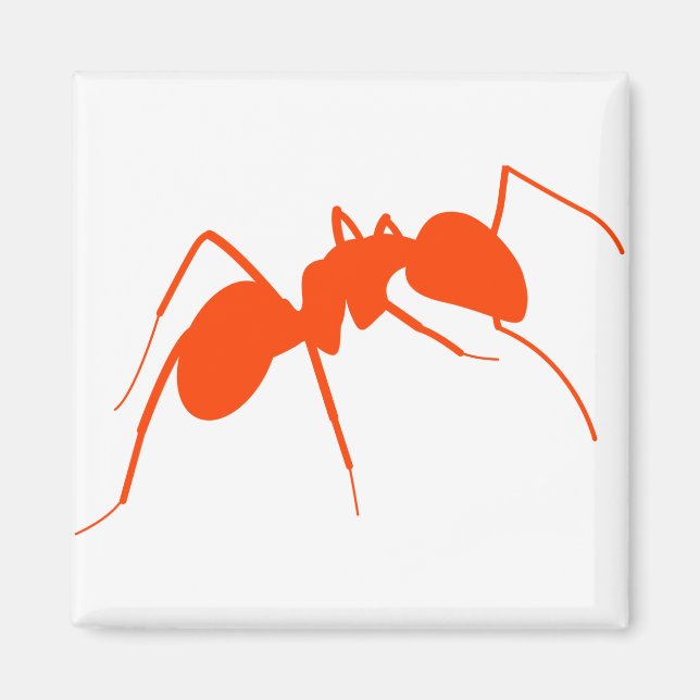 Íman Ant Laranja (Frente)