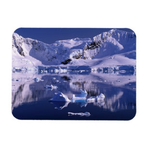 Íman Antártica, Baía do Paraíso