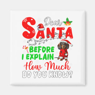 Íman Antes De Explicar O Quanto Conhece O Xmas Dachshun