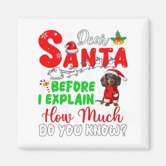 Íman Antes De Explicar O Quanto Conhece O Xmas Dachshun (Frente)