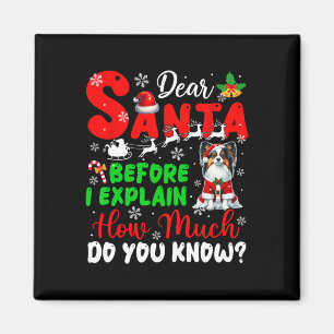 Íman Antes De Explicar O Quanto Conhece Xmas Papillon O