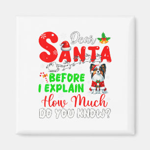 Íman Antes De Explicar O Quanto Conhece Xmas Papillon O