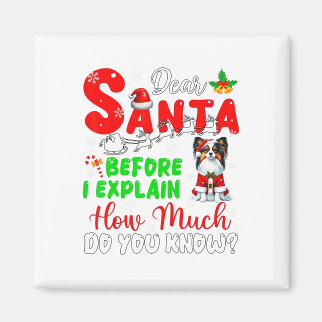 Íman Antes De Explicar O Quanto Conhece Xmas Papillon O (Frente)