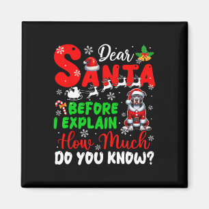 Íman Antes De Explicar O Quanto Você Sabe Xmas Pit Bull
