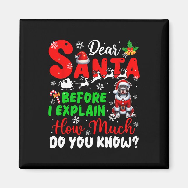 Íman Antes De Explicar O Quanto Você Sabe Xmas Pit Bull (Frente)