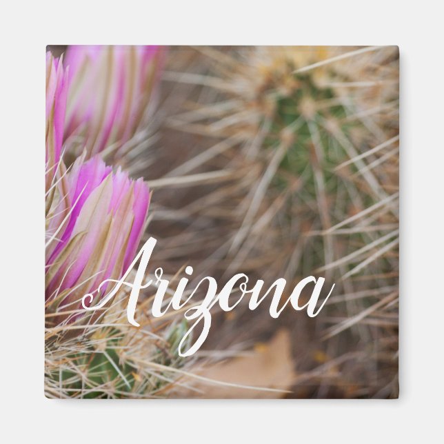 Íman Antes que floresça, Arizona (Frente)