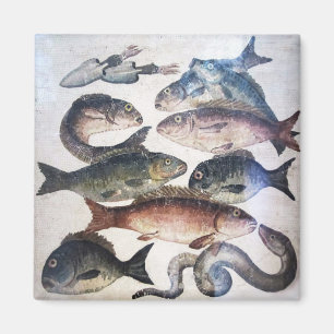ÍMAN ANTICOS MOSAÍDOS ROMANOS, PESCAS, CENA CÉLULA DE
