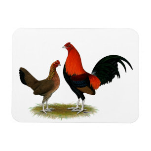 Íman Antigos Bantams de Jogo Inglês: BB Red Pair