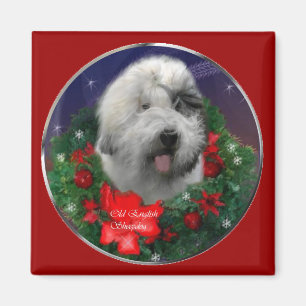 Íman Antigos presentes de Natal para Sheepdog em Inglês