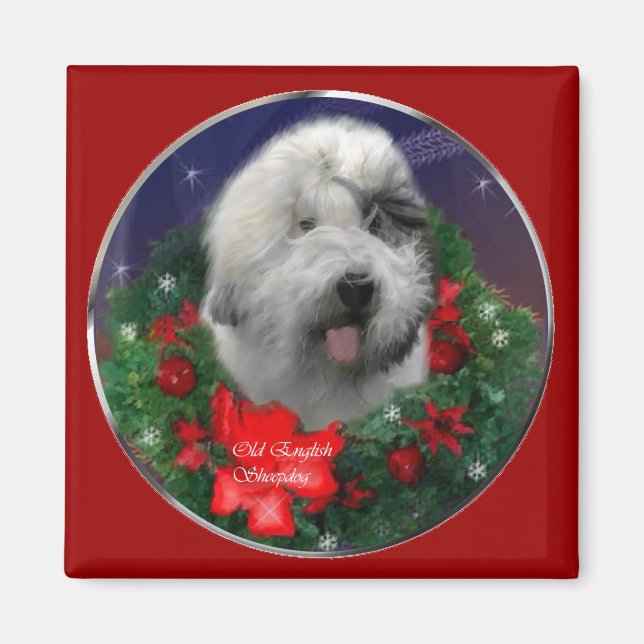 Íman Antigos presentes de Natal para Sheepdog em Inglês (Frente)