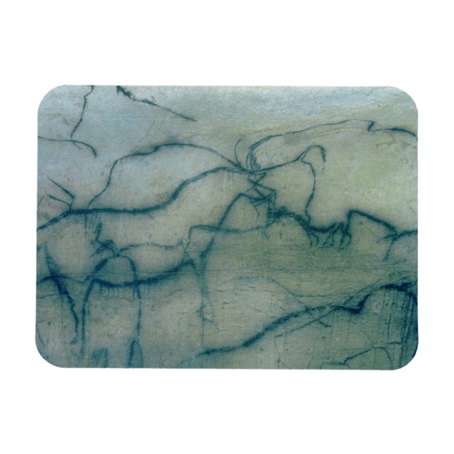 Íman Antílope e bison, Perigordiano (pintura caverna) (Horizontal)