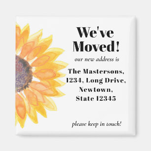 Íman Anunciamos Movimentação de Girassol