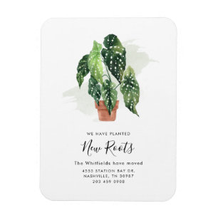 Íman Anúncio de Movimentação de Atualização de Alteraçã