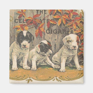 Íman Anúncios De Cigarro De Vintagem Adoráveis