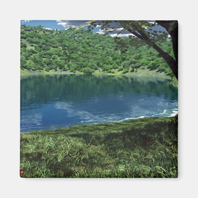 Íman Ao Lado do Magnet de Águas Profundas (Frente)