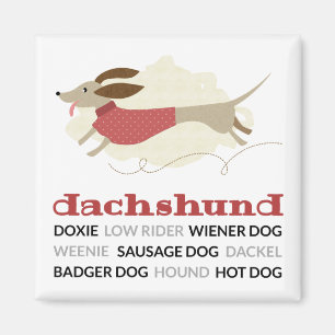 Íman Apelidos do Dachshund