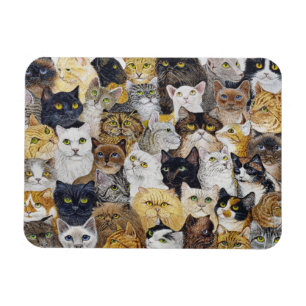 Íman Apenas a suiça do gato