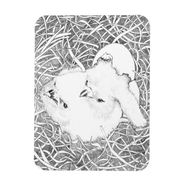 ÍMAN  APENAS ÁGUAS E15 + E16 QUERENDO CAFÉ DA MANHÃ (Vertical)