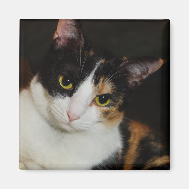 Íman Apenas Andando Por Aí (Frente)