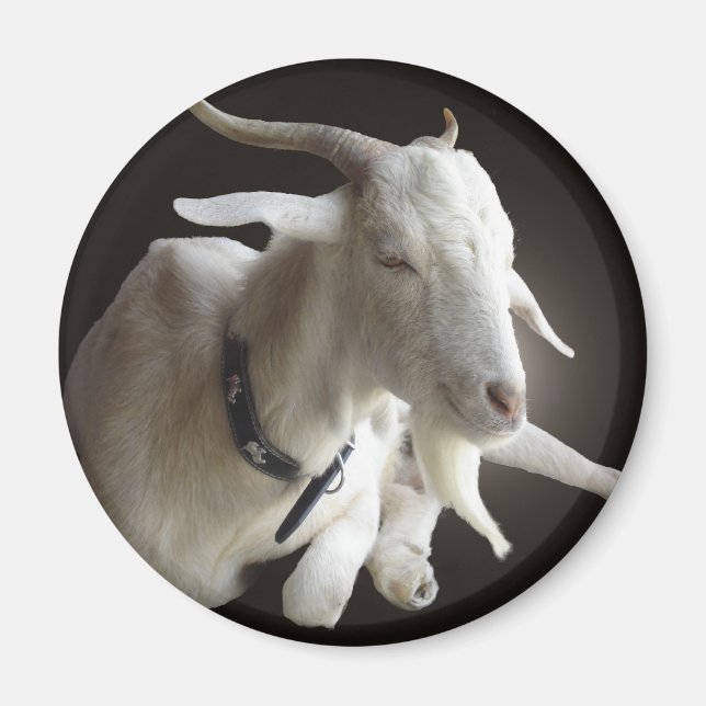 Íman Apenas Billy (Frente)