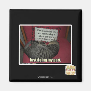 Íman Apenas fazendo minha divisória