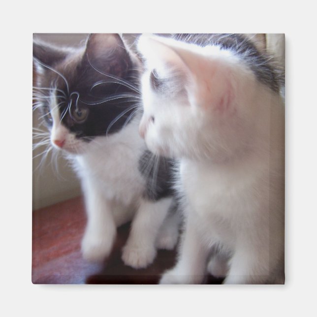 Íman Apenas nós dois, Magnet (Frente)