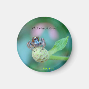 Íman Aperfeiçoe no prêmio da natureza