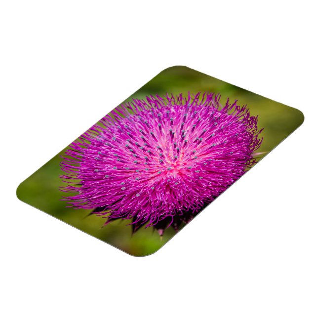 Íman Aperto do caroço do leite (Left Side)