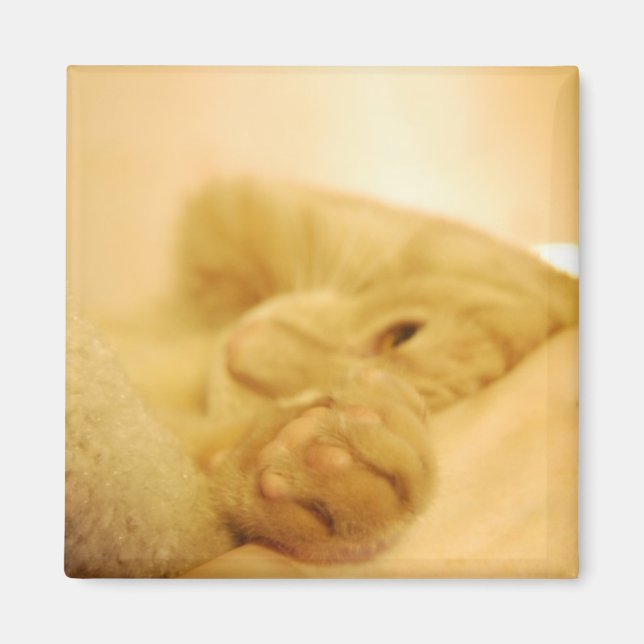 Íman apetite (Frente)