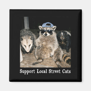 Íman Apoie gatos de rua engraçados guaxinim gambá