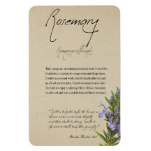 Apothecary Herbal: Rosemary | Magnet