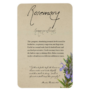Íman Apothecary Herbal: Rosemary   Magnet