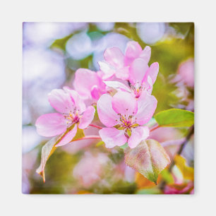 Íman Apple cor-de-rosa floresce